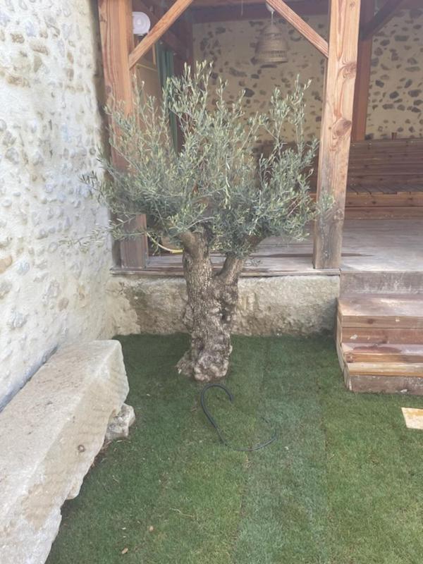 Drome Provencale Maison Familiale Calme Dans Village Valréas Exterior foto